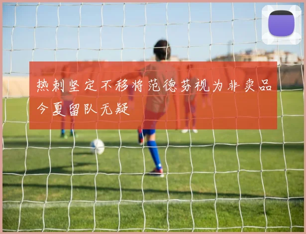 热刺坚定不移将范德芬视为非卖品今夏留队无疑